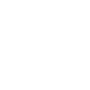 icono 5