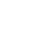 icono 1